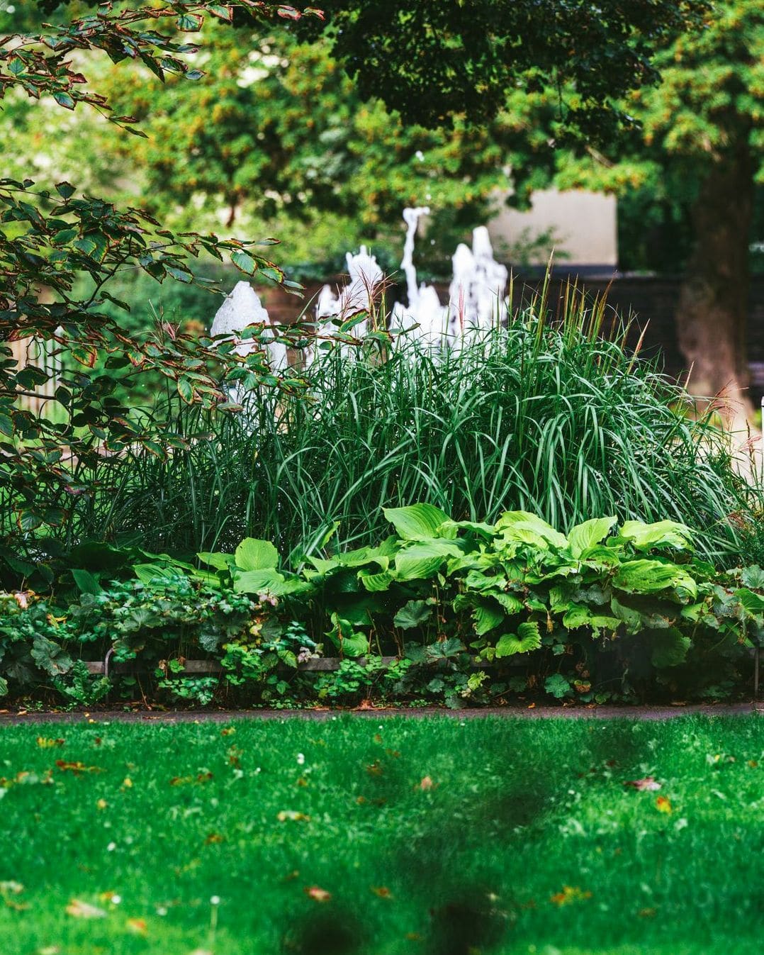 Planting and border design