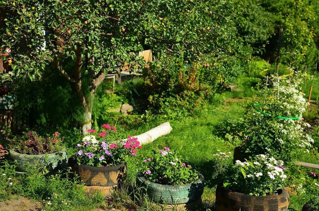 Seasonal garden tidy-ups