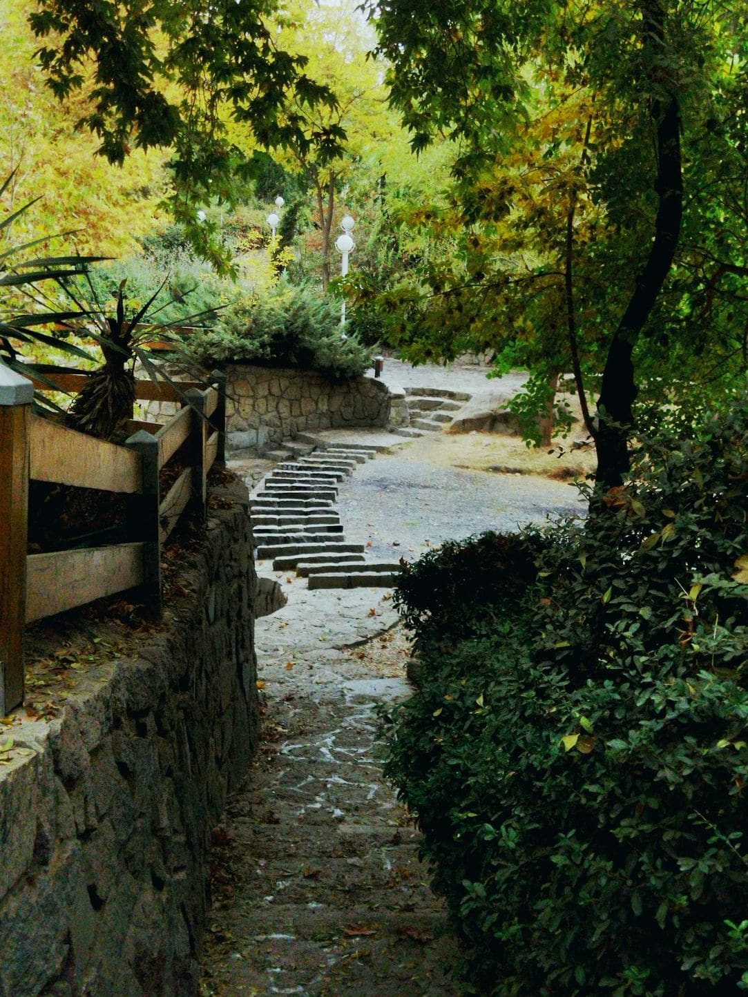 Patio and path pressure washing